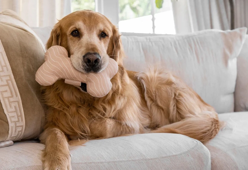 Reese + Murphy — Pet goods