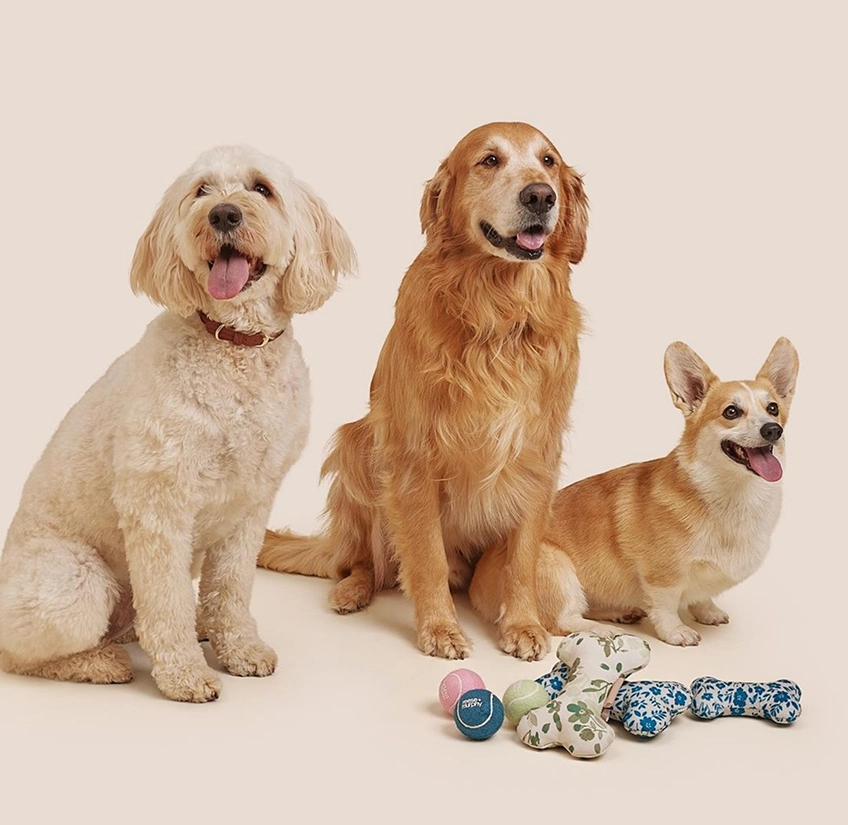 Reese + Murphy — Pet goods